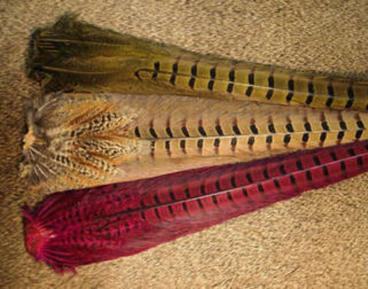 Hareline Dubbin RINGNECK PHEASANT TAIL CLUMPS