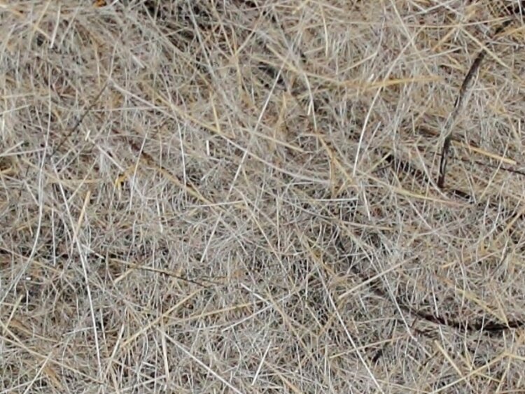 Hareline Dubbin HARELINE HARE'S WIGGLE DUB NATURAL