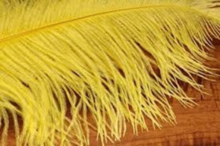 Hareline Dubbin HARELINE OSTRICH HERL