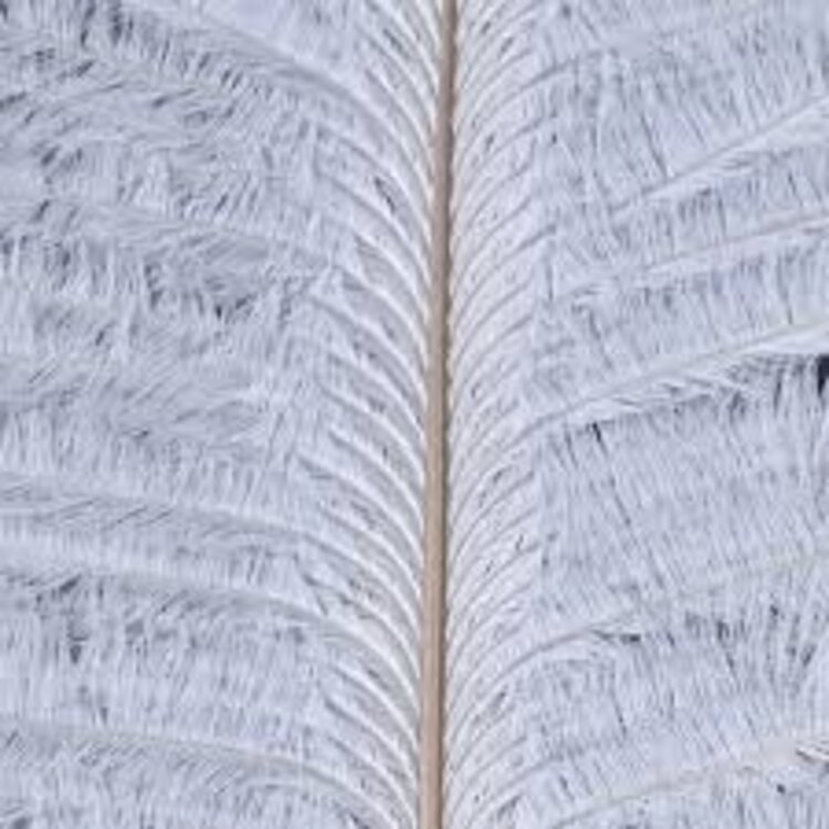 Hareline Dubbin HARELINE OSTRICH HERL