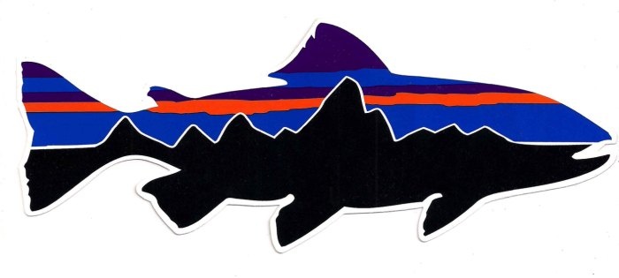 patagonia fish