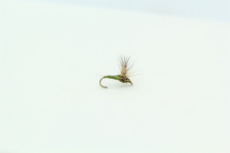 Solitude Fly Company COMPARADUN TRICO