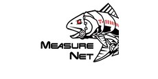 Measure net