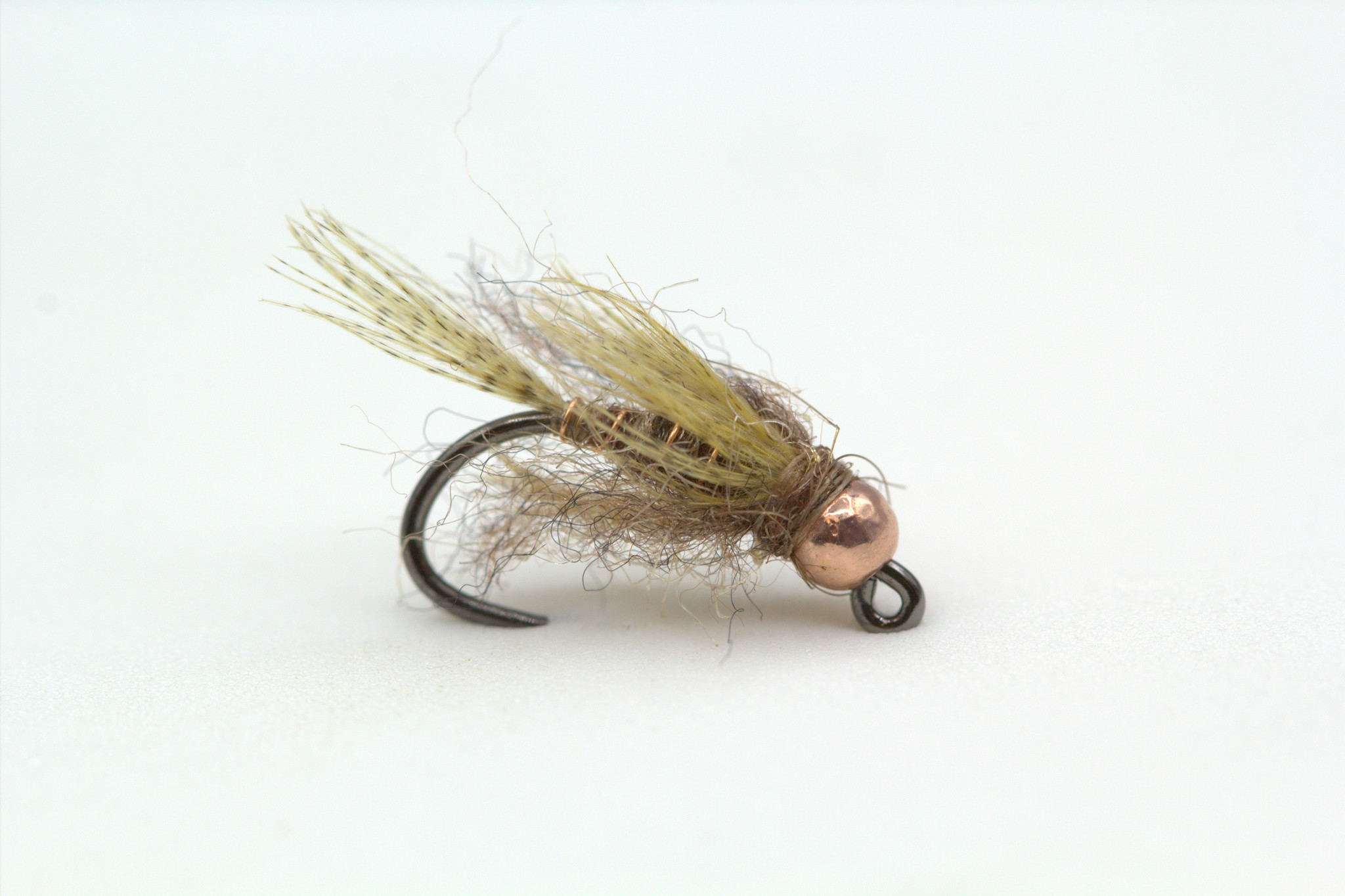 jiggy-birds-nest-tcb.jpg jiggy-birds-nest-tcb.jpg