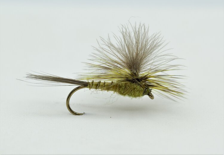 Solitude Fly Company CDC PARA-GREEN DRAKE #12