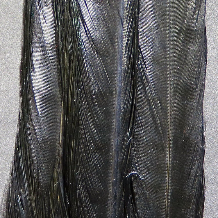 Hareline Dubbin PHEASANT TAIL