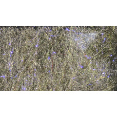 Hareline Dubbin Fly Fish Food Bruiser Blend