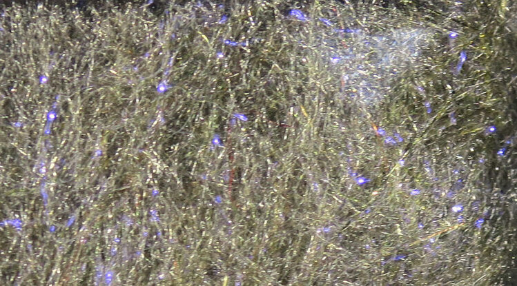 Hareline Dubbin Fly Fish Food Bruiser Blend