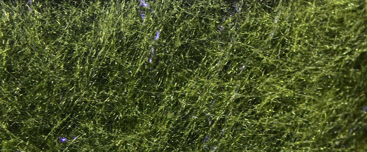 Hareline Dubbin Fly Fish Food Bruiser Blend