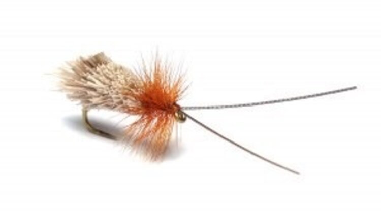 Solitude Fly Company Goddard Caddis