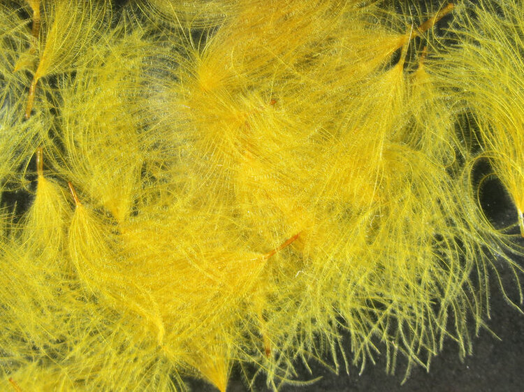 Hareline Dubbin HARELINE CDC OILER PUFFS