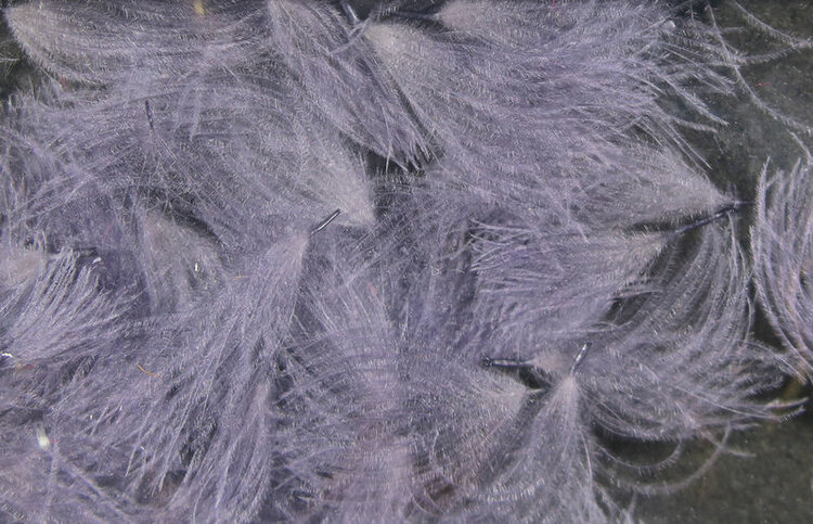 Hareline Dubbin HARELINE CDC OILER PUFFS