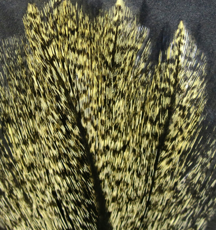 Hareline Dubbin COQ De LEON
