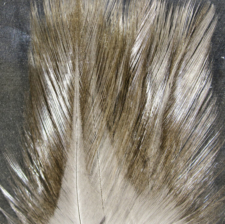 Hareline Dubbin COQ De LEON