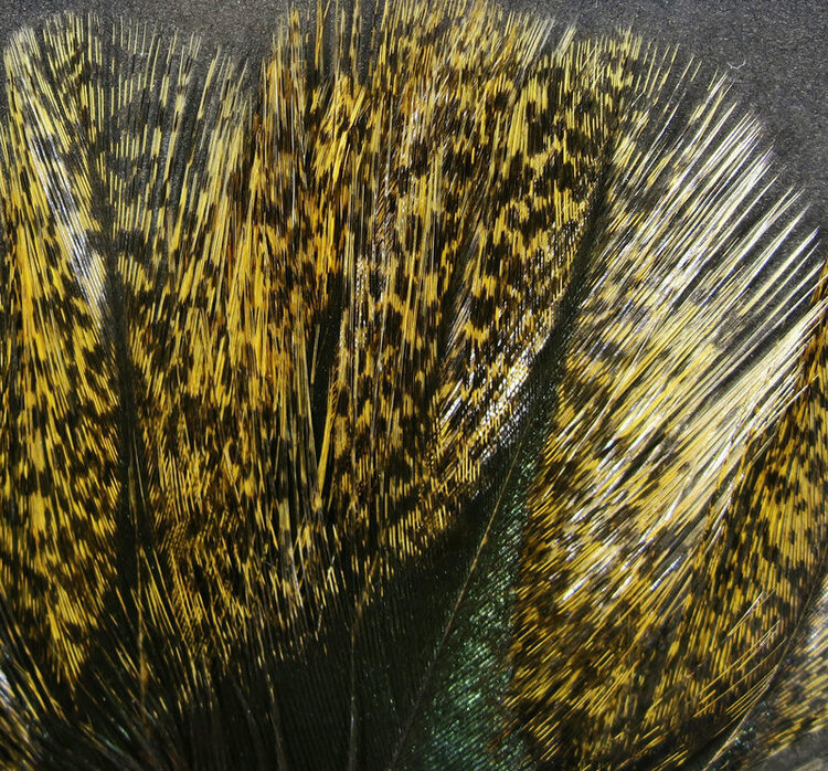 Hareline Dubbin COQ De LEON