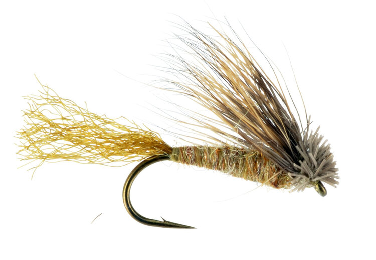 Montana Fly Company X CADDIS
