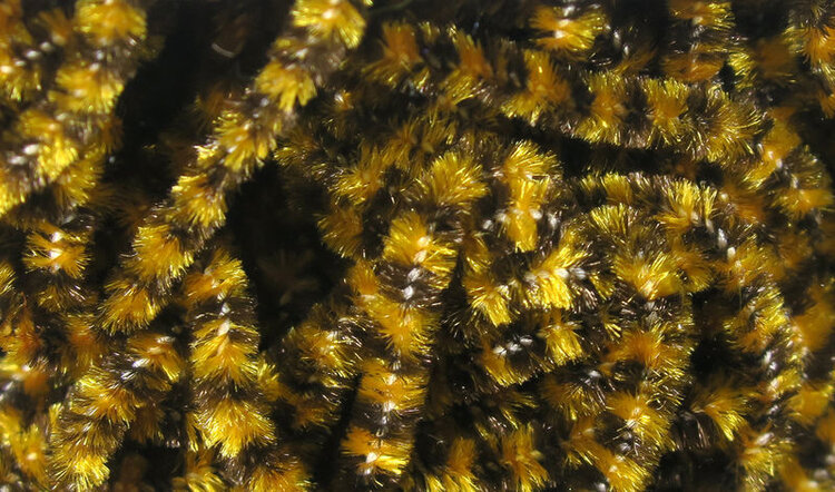 Hareline Dubbin FLY FISH FOOD STONEFLY CHENILLE