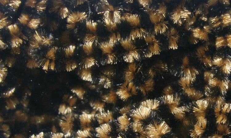 Hareline Dubbin FLY FISH FOOD STONEFLY CHENILLE