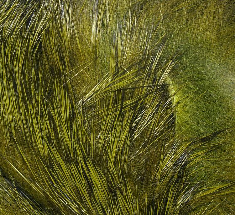 Hareline Dubbin HARELINE MAGNUM RABBIT STRIPS