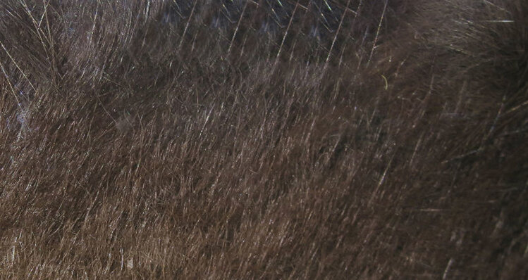 Hareline Dubbin HARELINE RABBIT STRIPS