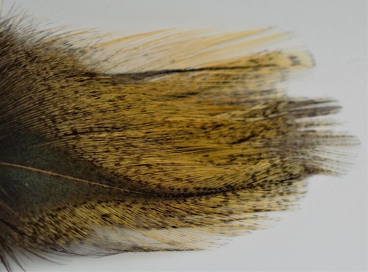 Hareline Dubbin COQ De LEON