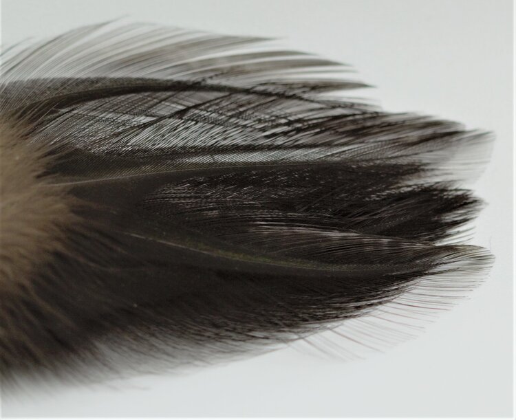 Hareline Dubbin COQ De LEON