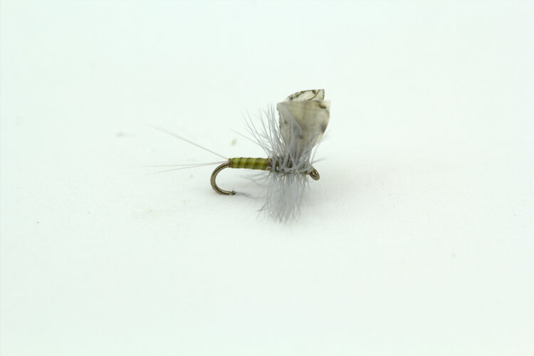 Solitude Fly Company HACKLE DUN BWO SIZE 18