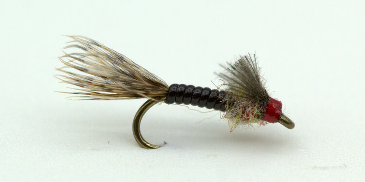 Ugly Bug Fly Shop Shanafelts Baetis Nymph