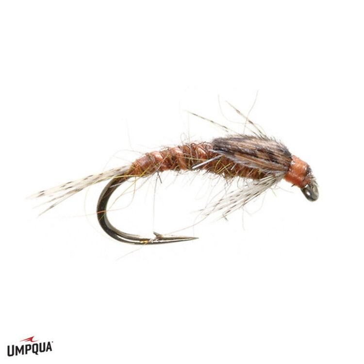 Ugly Bug Fly Shop Hunchback Infrequence