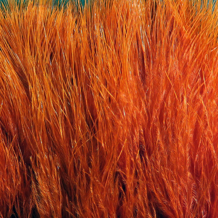 Wapsi WAPSI STRUNG MARABOU