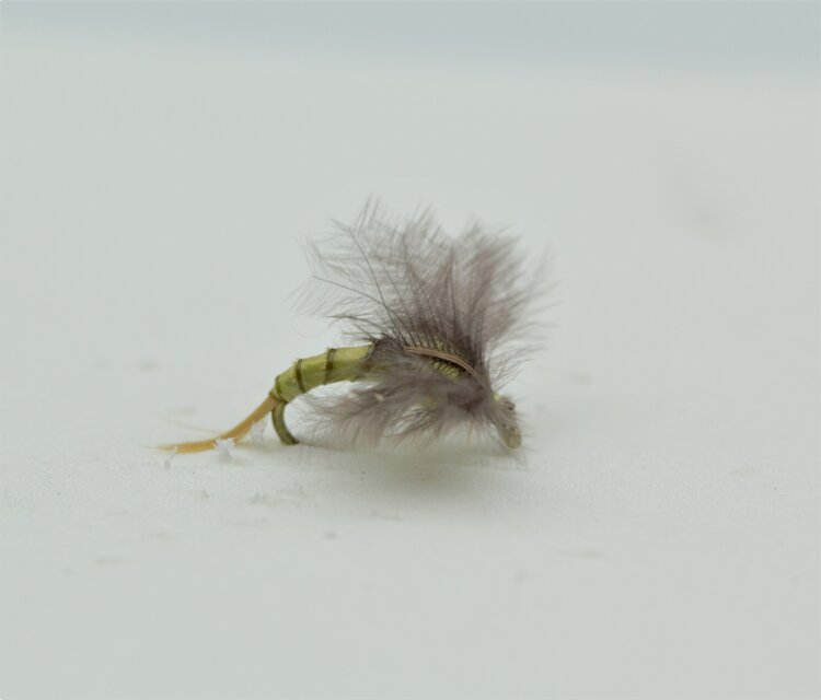 Ugly Bug Fly Shop Batwing Emerger PMD