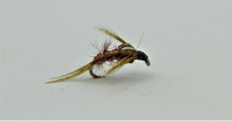 Solitude Fly Company Crackback PMD