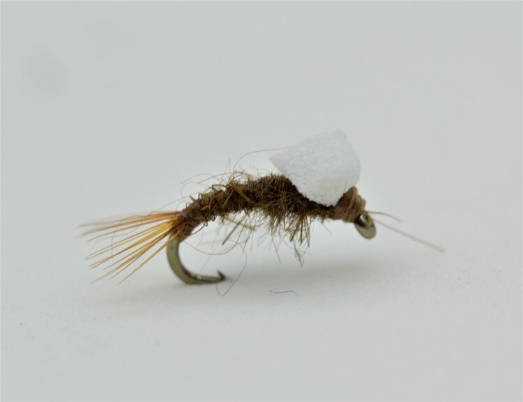 Ugly Bug Fly Shop Foam Back RS2