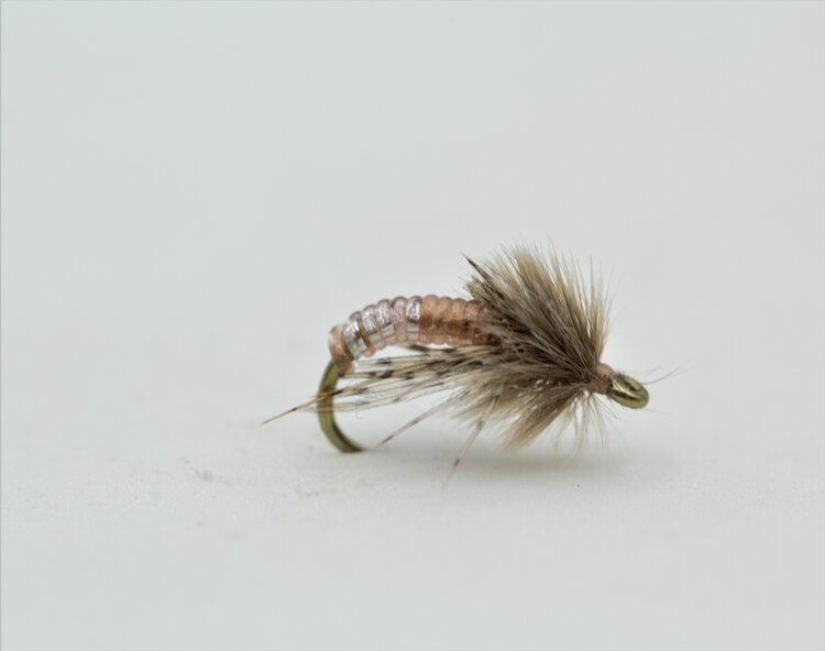 Ugly Bug Fly Shop Graphic Caddis