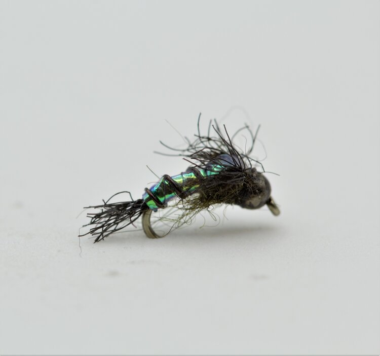 Ugly Bug Fly Shop Chan's Long Haired Caddis Pupa #16