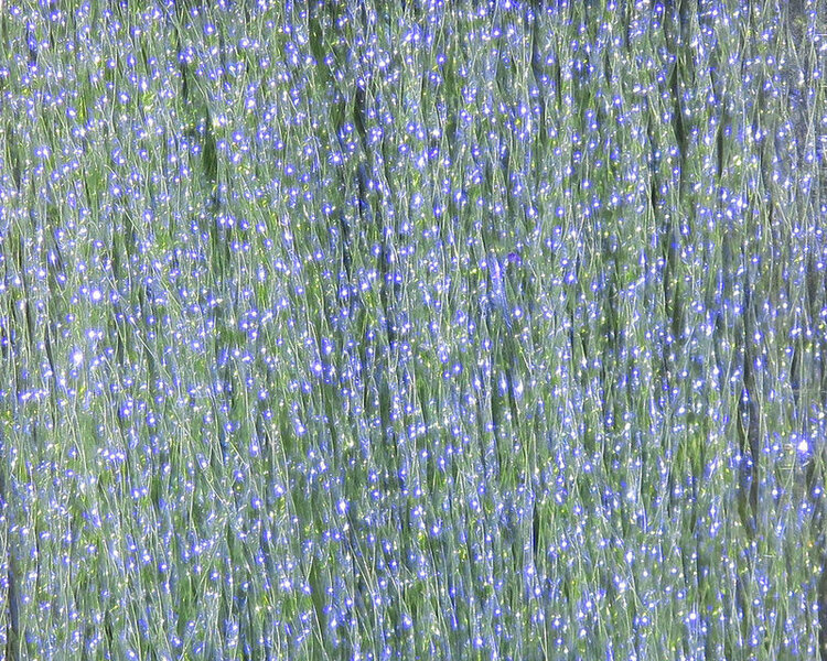 Angler Sport Group HARELINE KRYSTAL FLASH