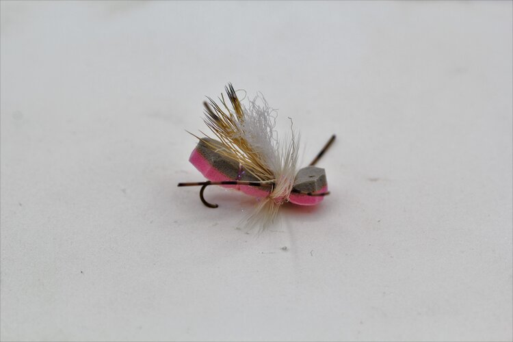 Dream Cast Fly Fishing MINI FOAMULATOR