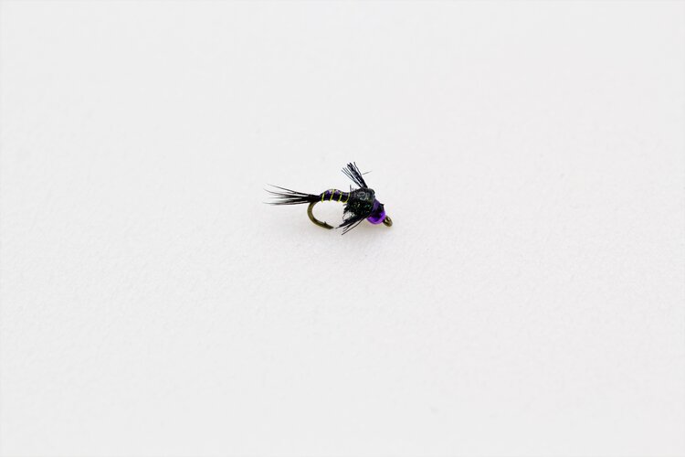 FULLING MILL Radiation Baetis