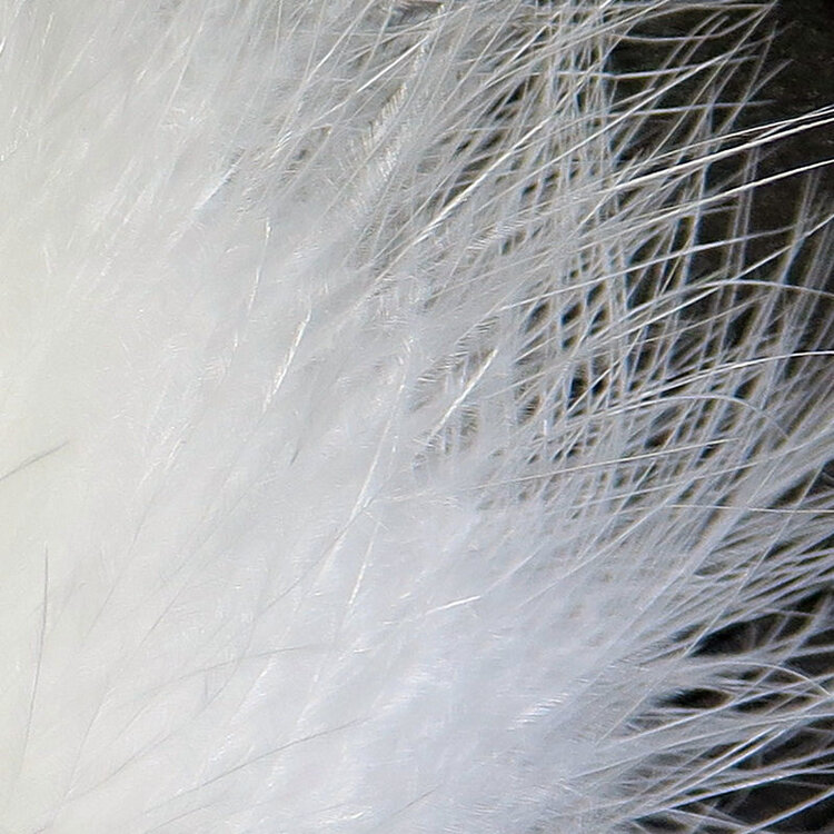 Wapsi WAPSI STRUNG MARABOU