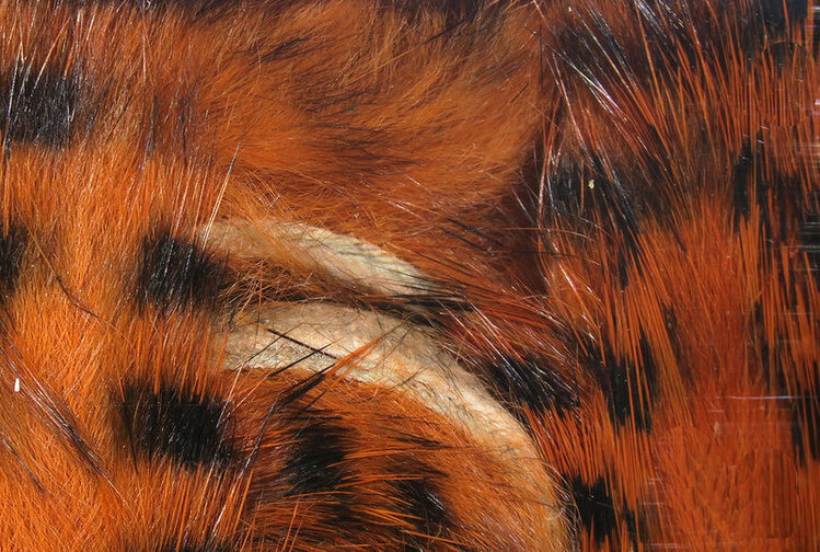 Hareline Dubbin HARELINE BARRED RABBIT STRIPS