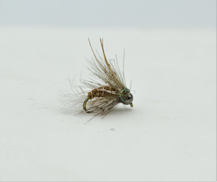 CATCH BJORN'S BADDEST CADDIS