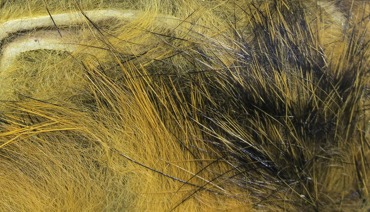 Hareline Dubbin MICRO PULSATOR STRIPS