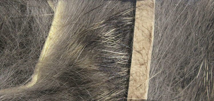 Hareline Dubbin MICRO PULSATOR STRIPS