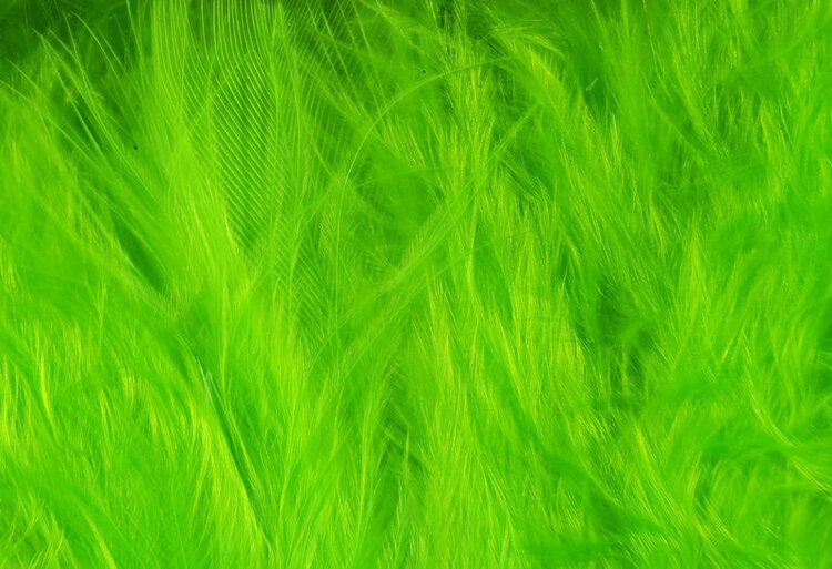 Wapsi WAPSI WOOOLY BUGGER MARABOU