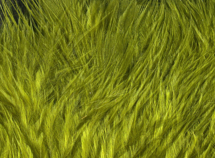 Wapsi WAPSI WOOOLY BUGGER MARABOU