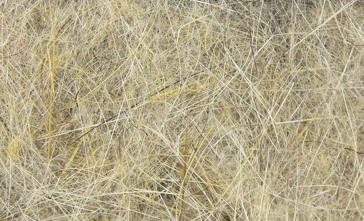 Hareline Dubbin HARELINE HARE'S EAR PLUS DUBBIN