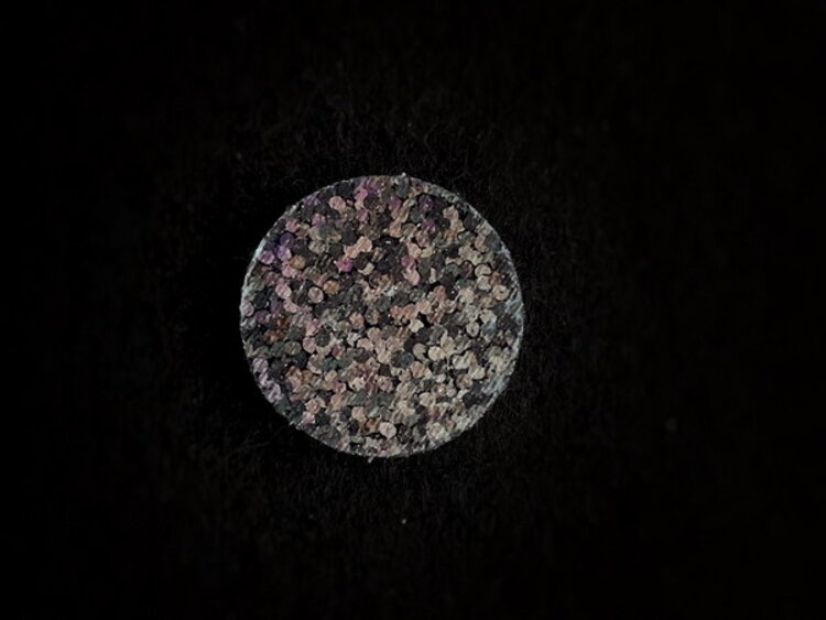 FISHON PAOLO PACCHIARINI WATERPUSHING DISCS