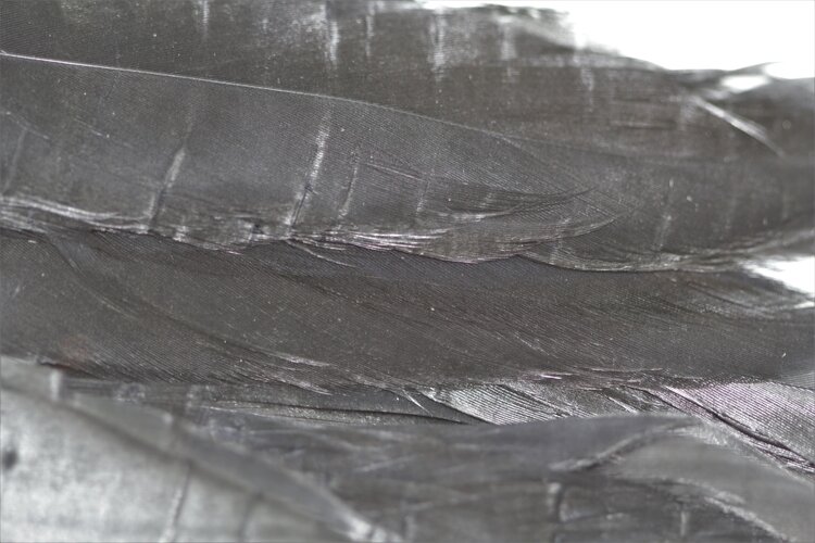 NATURE'S SPIRIT NATURE'S SPIRIT FISH HUNTER SELECT SHLAPPEN