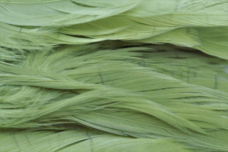 NATURE'S SPIRIT NATURE'S SPIRIT FISH HUNTER SELECT SHLAPPEN