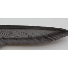 Wapsi WAPSI DUCK QUILL 2 PAIR